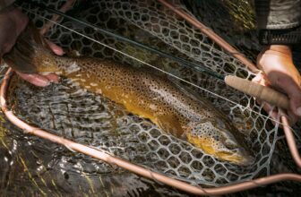 New fly fishing gear: September 2024 | Hatch Magazine