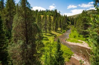 Go back to school on small streams | Hatch Magazine