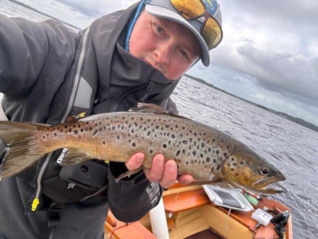 trout