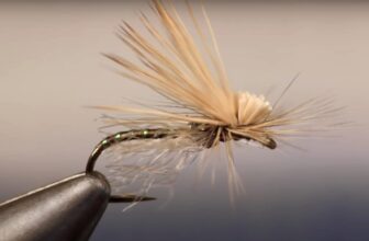 Denver Fur Ban Threatens Fly Fishing