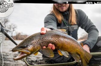 The Fiberglass Manifesto: TROUTROUTES – Ultimate Fishing Excursion Bundle