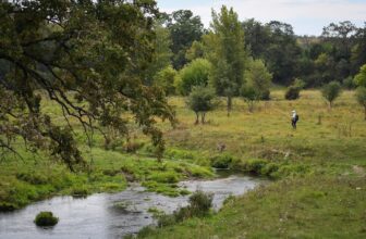 A Day in the Driftless with a Couple of Favorite 3-Weights