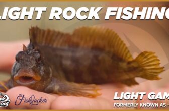 What it is and how to master it