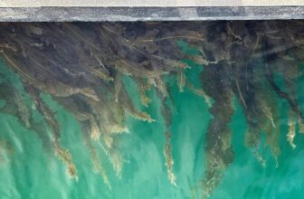 The Fiberglass Manifesto: A Few Days on the Water in Homer