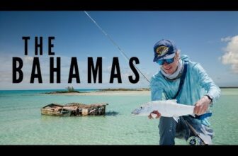 PHELPS ON THE FLY – CHASING SHADOWS