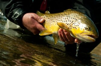 Story: Crossroads | MidCurrent