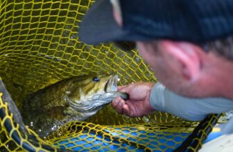 Carpin’ for smallmouth | Hatch Magazine