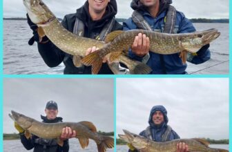 Metre pike for Dutch lure anglers in Boyle | Fishing in Ireland