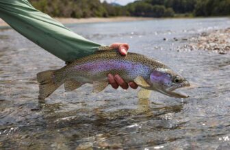 You have to work for it | Hatch Magazine