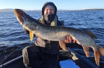 Derg pike feeding hard as temperatures drop | Fishing in Ireland