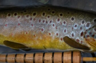 The Fiberglass Manifesto: HAPPY THANKSGIVING