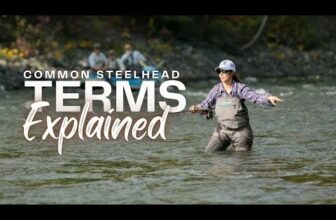 ANCHORED OUTDOORS – Common Steelhead Terms Explained