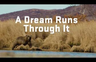 A Dream Runs Through It & Sidechannels Podcast