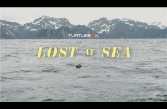The Fiberglass Manifesto: TURTLEBOX – Lost at Sea