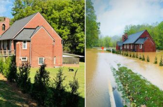 Helping Out Louis Cahill | MidCurrent