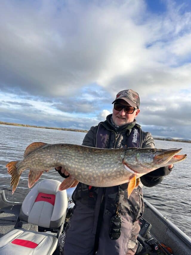Thick in all the right places! ☺️🐷 This one hit the lure in shallow water, great condition, very powerful on the jerkbait gear!