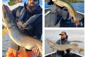 Tremendous fishing for Trio from Trento | Fishing in Ireland