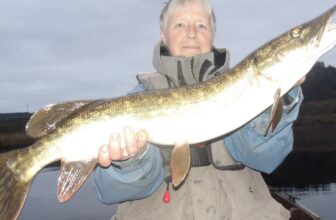 Good pike at Lough Allua but better to come as temps fall | Fishing in Ireland
