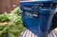 Photo: Hatch Magazine. yeti roadie 15 navy