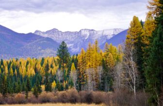 The kids are right: Montana Supreme Court rules in landmark climate case | Hatch Magazine