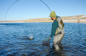 An Ode to Wool | MidCurrent