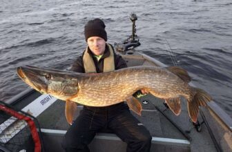 115cm pike for lucky angler with Irish Fishing Tours | Fishing in Ireland