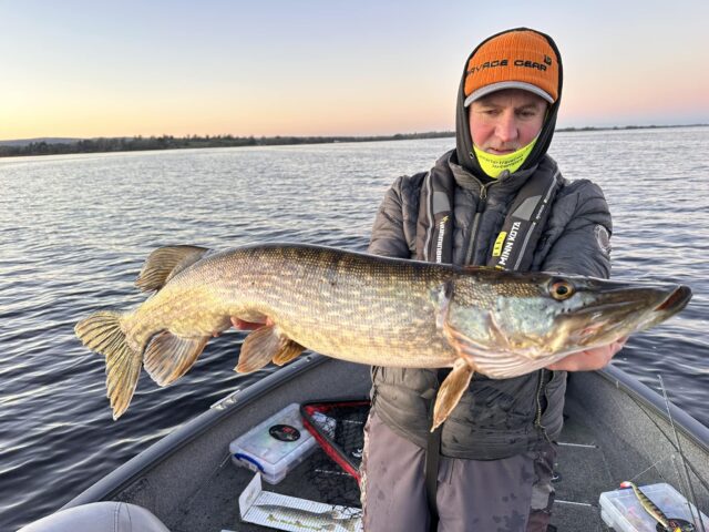Cold morning pike