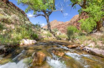 Utah’s public lands battle shows the power of political contributions | Hatch Magazine