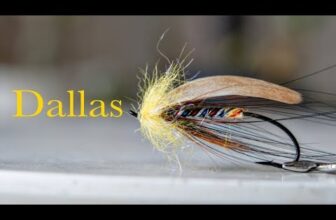 THE PERRY PORK – Tying the Dallas