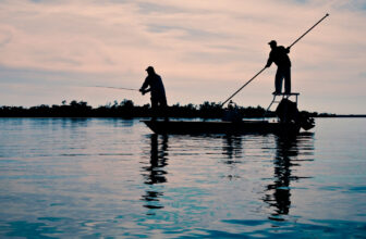 More Than Just a Cast