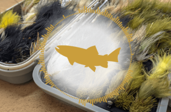 Troutbitten Podcast: Pre-Trip Efficiencies | MidCurrent