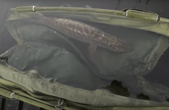 Fishing with Steve – Episode 41 – Back to Monaghan! | Fishing in Ireland