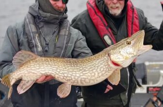 Great start to the new pike season for Angling Services Ireland | Fishing in Ireland