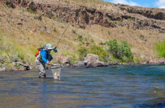 Tips for trout anglers with limited budgets | Hatch Magazine