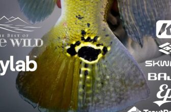 The Fiberglass Manifesto: FLYLAB & FRIENDS