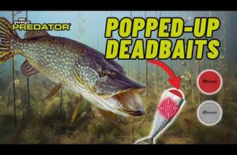 Popping up Deadbaits | How this Technique will land you Monsters!