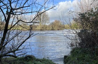 Pike, coarse fish and where to find them, plus more in the latest River Whispers blog | Fishing in Ireland