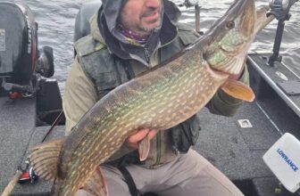 Pike to 103cm for anglers with Anglers Paradise Guiding | Fishing in Ireland