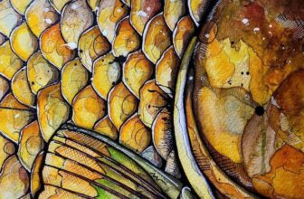 RAK ART – A Reminder that Warmwater Isn’t Too Far Away…