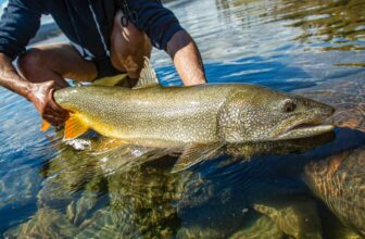 Will your fishing trip to Canada be impacted by political tension? | Hatch Magazine