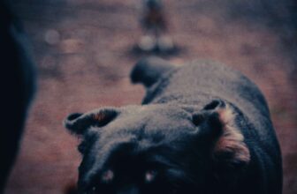 The devil knows you’re dead | Hatch Magazine