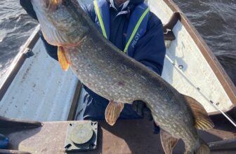 Great pike fishing for regular visitors in Longford | Fishing in Ireland