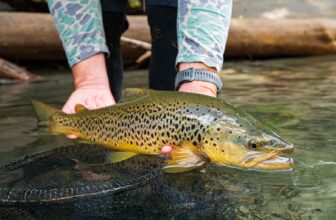 New Zealand trout: Crass and unsophisticated | Hatch Magazine