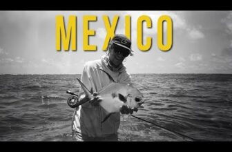 PHELPS ON THE FLY – Dry Fly Fishing for Permit