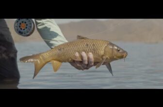 The Fiberglass Manifesto: AMFF – Fishing the Collection – Season 2