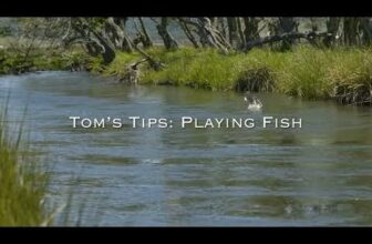 The Fiberglass Manifesto: TOM’S TIPS