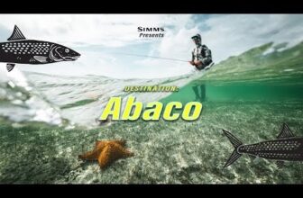 Simms Presents – Destination: Abaco