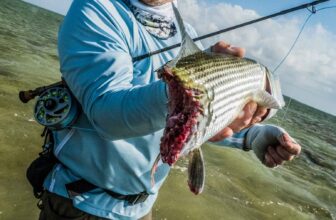 You’re gonna need a bigger flat | Hatch Magazine