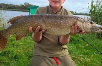An introduction to dead baiting for pike from Blackwood Bait and Tackle | Fishing in Ireland