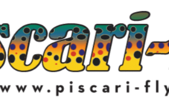 Piscari-Fly Newsletter: Wicklow Lakes, Pike on the Shannon, Avonmore | Fishing in Ireland